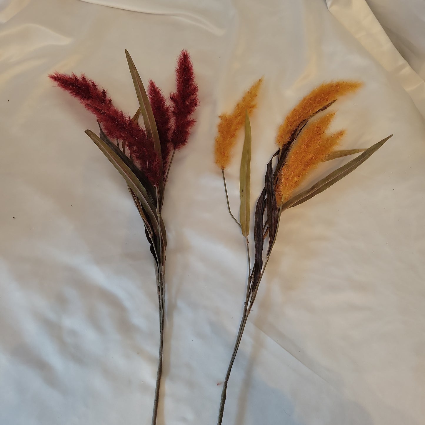 fall shrubs
