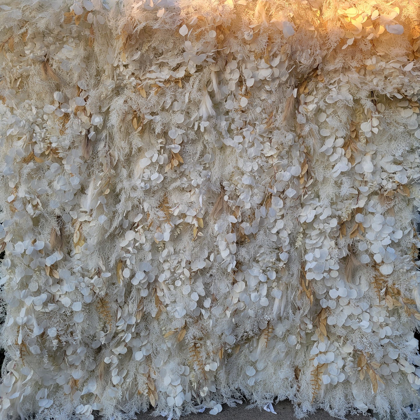 8'x8' white pampas backdrop