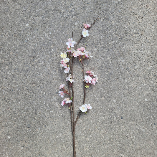 cherry blossom branches