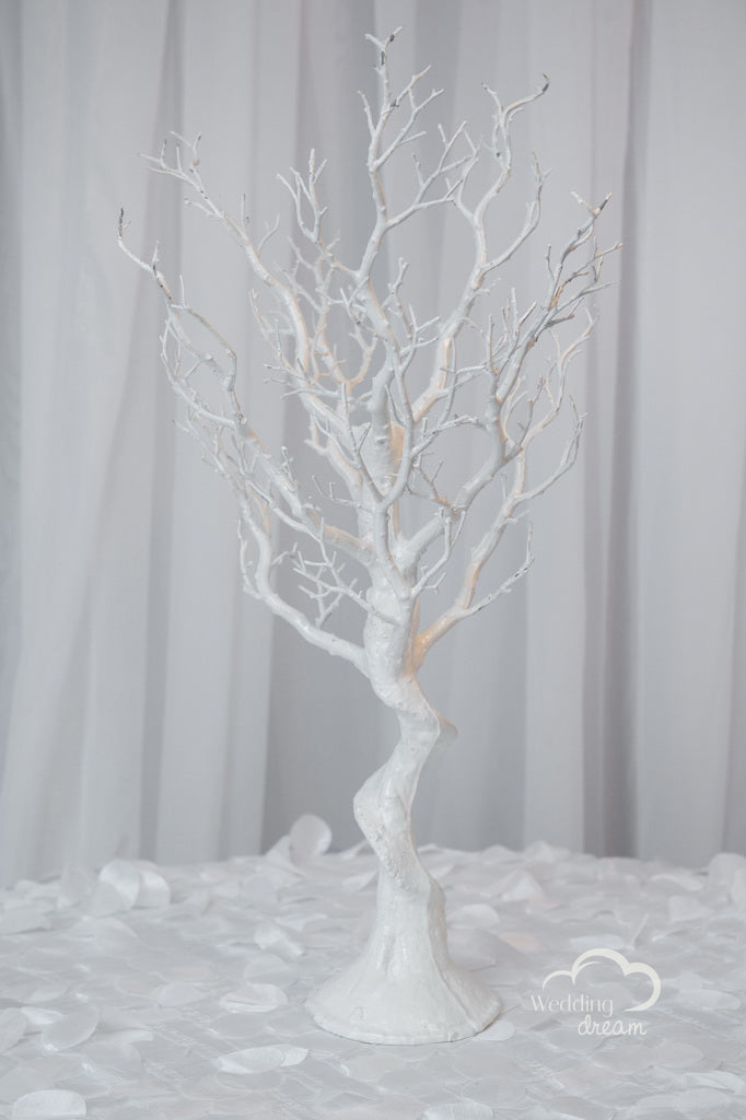 24" White Manzanita Tree