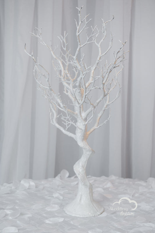 24" White Manzanita Tree